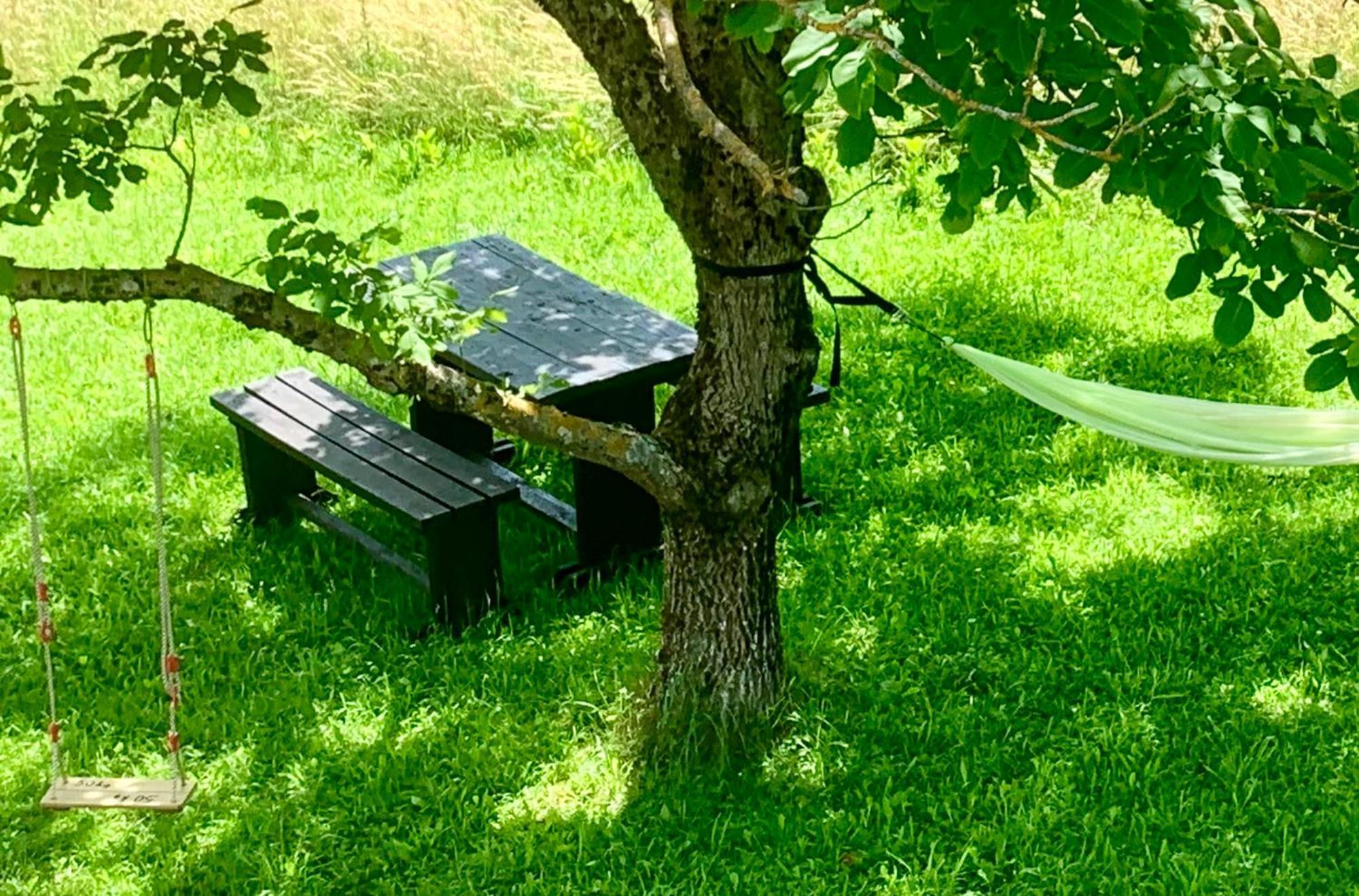 Wildernest Holiday Home ラコヴィツァ エクステリア 写真